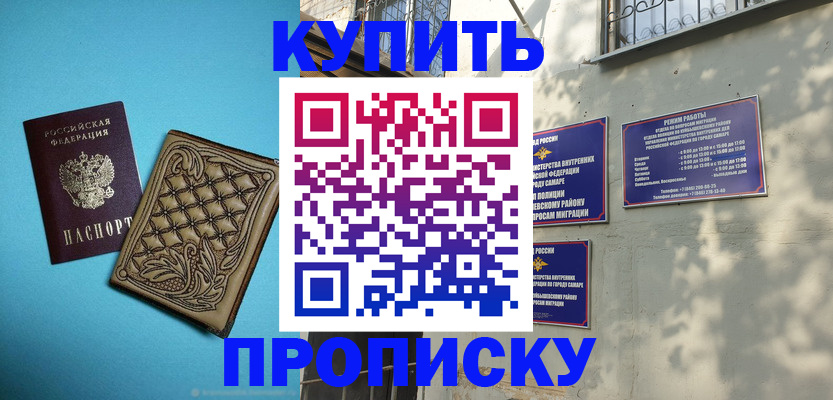 прописка 2025 в Стародубе